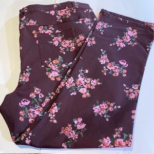 Woman Within SZ 30W Tall EUC, slight stretch, 5 pocket, nice pants